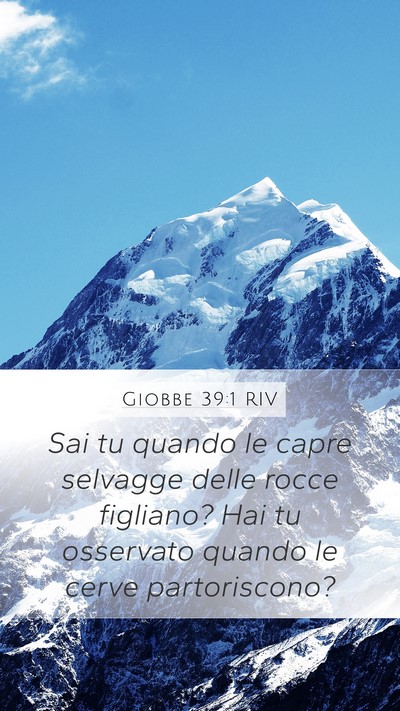 Giobbe 39:1 RIV Bible Verse Image