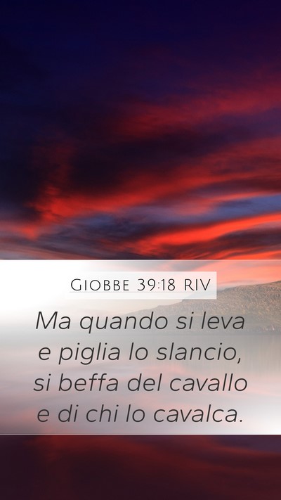 Giobbe 39:18 RIV Bible Verse Image