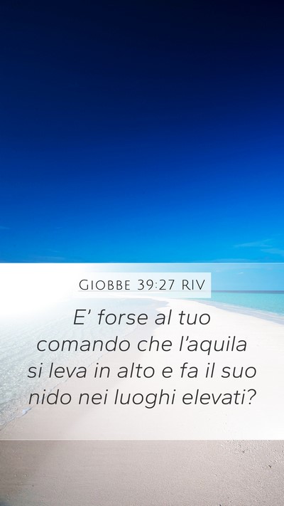 Giobbe 39:27 RIV Bible Verse Image
