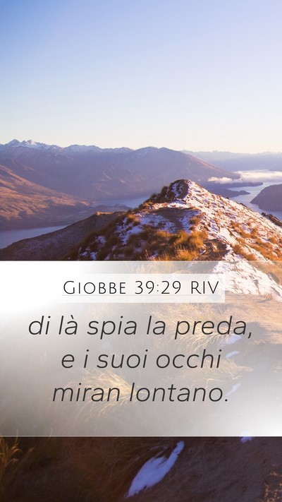 Giobbe 39:29 RIV Bible Verse Image