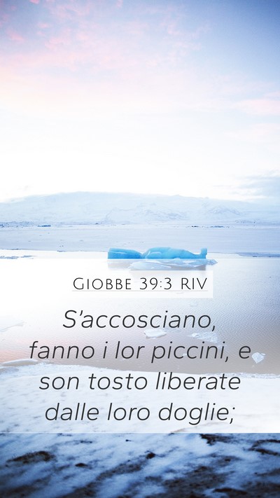 Giobbe 39:3 RIV Mobile Phone Wallpaper - S’accosciano, fanno i lor piccini, e son tosto - Mobile Bible Verse Wallpaper