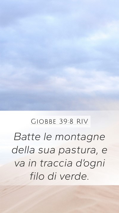 Giobbe 39:8 RIV Bible Verse Image