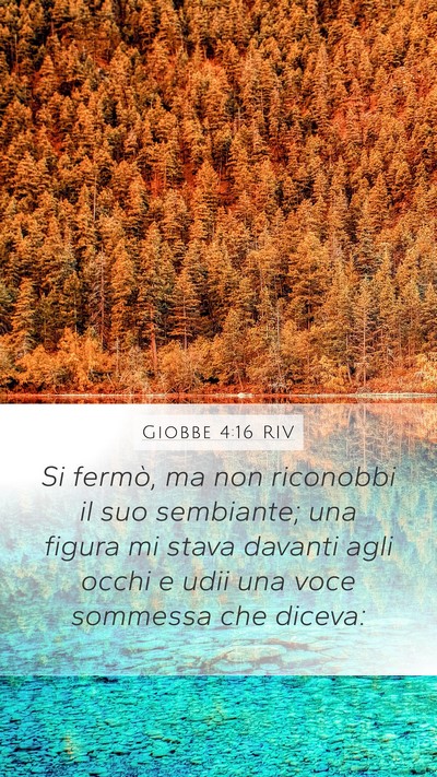Giobbe 4:16 RIV Bible Verse Image
