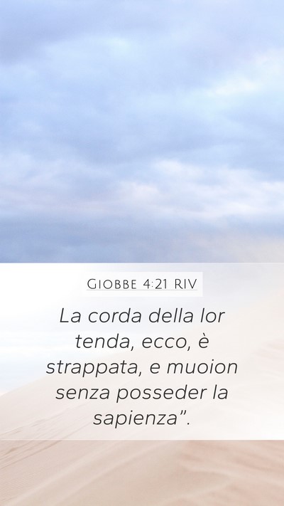 Giobbe 4:21 RIV Mobile Phone Wallpaper - La corda della lor tenda, ecco, è strappata, e - Mobile Bible Verse Wallpaper