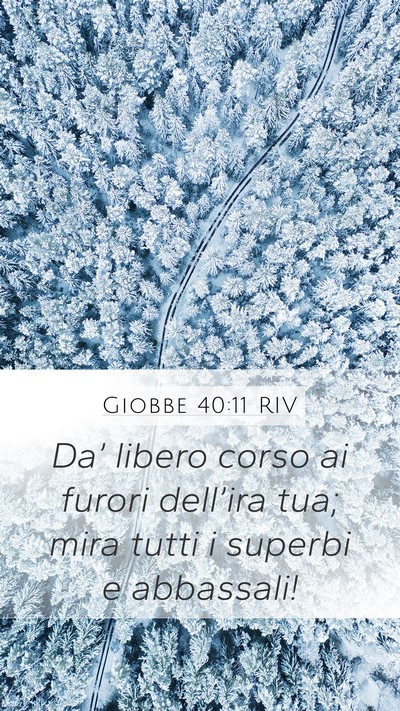 Giobbe 40:11 RIV Bible Verse Image