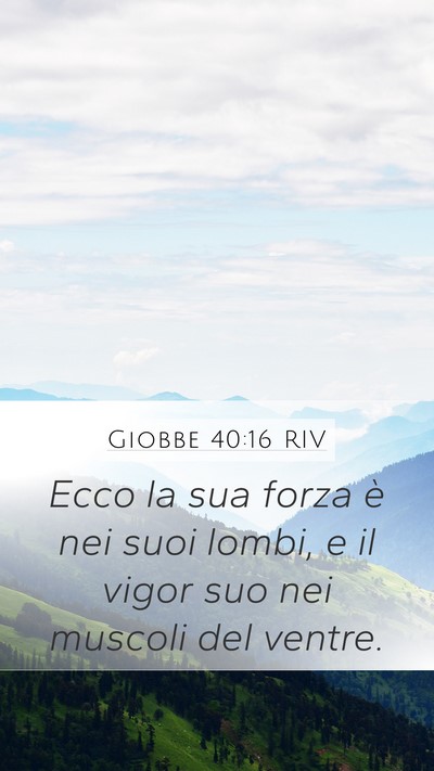 Giobbe 40:16 RIV Bible Verse Image
