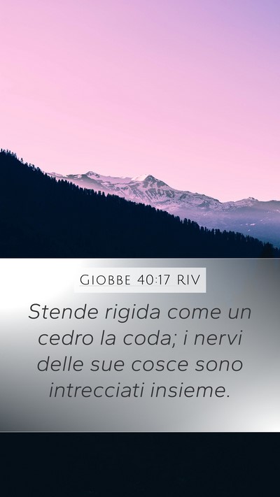Giobbe 40:17 RIV Bible Verse Image