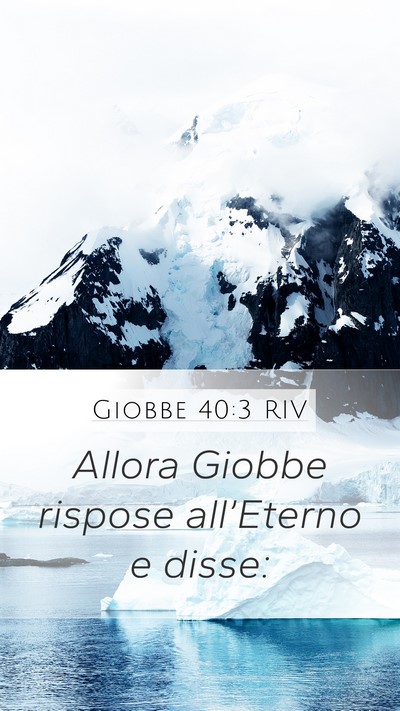 Giobbe 40:3 RIV Bible Verse Image