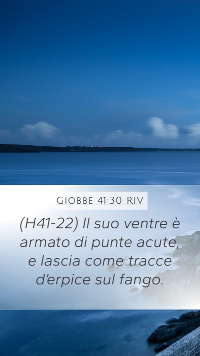 Giobbe 41:30 RIV Mobile Phone Wallpaper - (H41-22) Il suo ventre è armato di punte acute, - Mobile Bible Verse Wallpaper