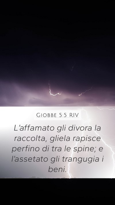Giobbe 5:5 RIV Bible Verse Image
