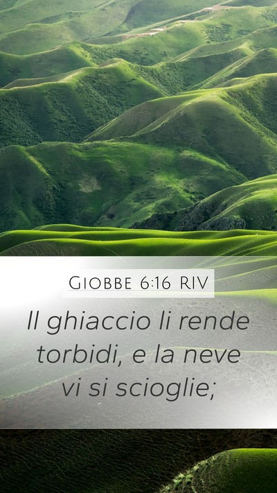 Giobbe 6:16 RIV Bible Verse Image
