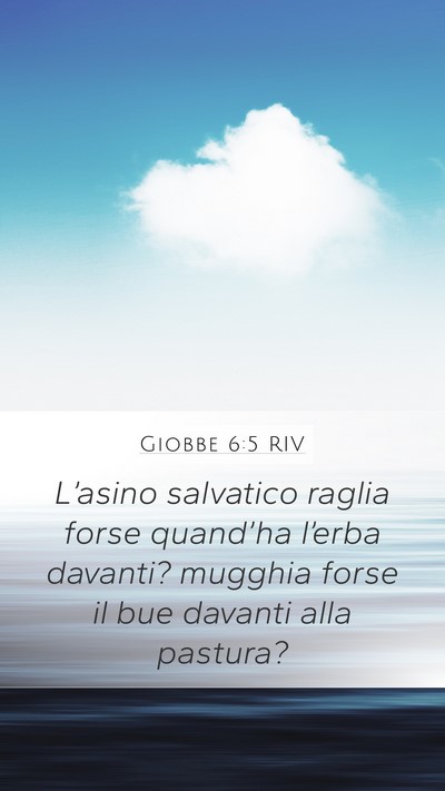 Giobbe 6:5 RIV Bible Verse Image