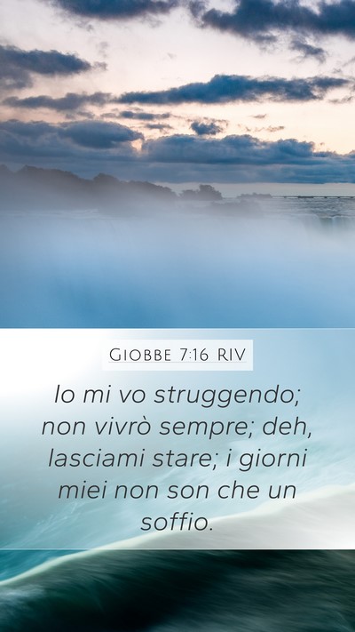 Giobbe 7:16 RIV Bible Verse Image