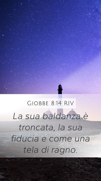 Giobbe 8:14 RIV Bible Verse Image