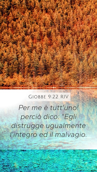 Giobbe 9:22 RIV Bible Verse Image