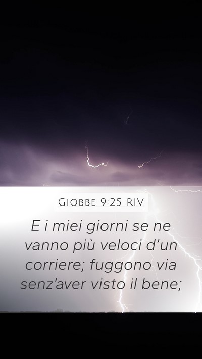 Giobbe 9:25 RIV Bible Verse Image