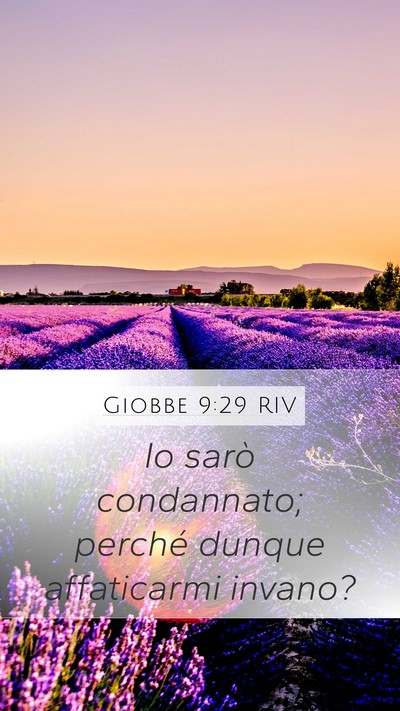 Giobbe 9:29 RIV Bible Verse Image