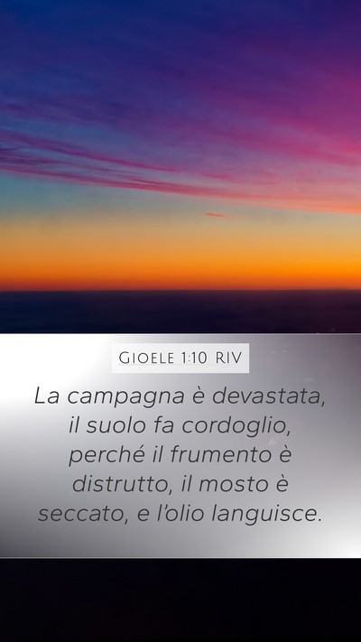 Gioele 1:10 RIV Bible Verse Image