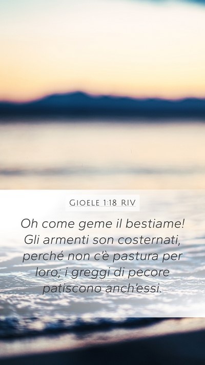 Gioele 1:18 RIV Bible Verse Image