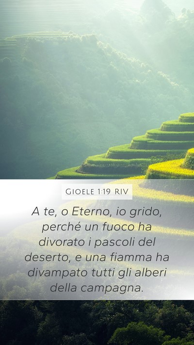 Gioele 1:19 RIV Bible Verse Image