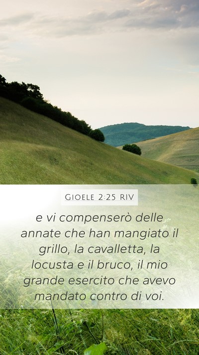 Gioele 2:25 RIV Bible Verse Image
