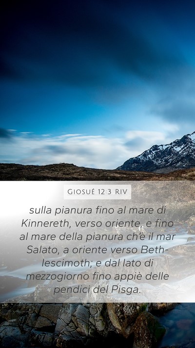 Giosué 12:3 RIV Bible Verse Image