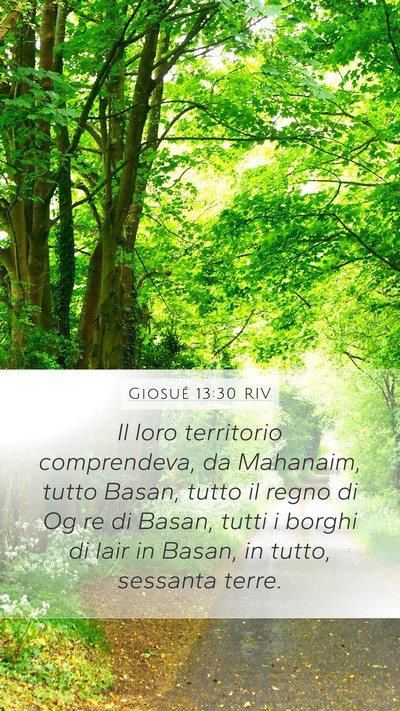 Giosué 13:30 RIV Mobile Phone Wallpaper - Il loro territorio comprendeva, da Mahanaim, - Mobile Bible Verse Wallpaper