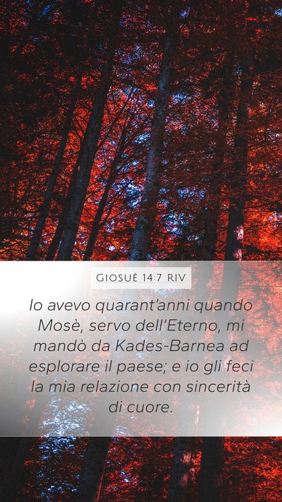 Giosué 14:7 RIV Bible Verse Image