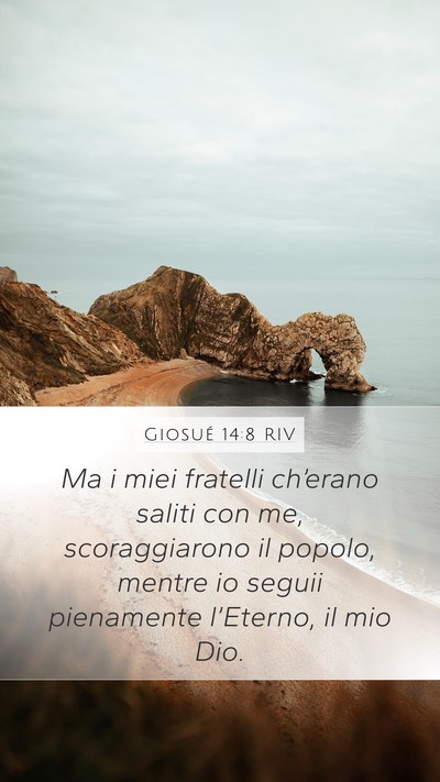 Giosué 14:8 RIV Bible Verse Image