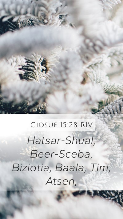 Giosué 15:28 RIV Bible Verse Image