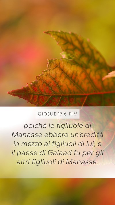 Giosué 17:6 RIV Mobile Phone Wallpaper - poiché le figliuole di Manasse ebbero - Mobile Bible Verse Wallpaper