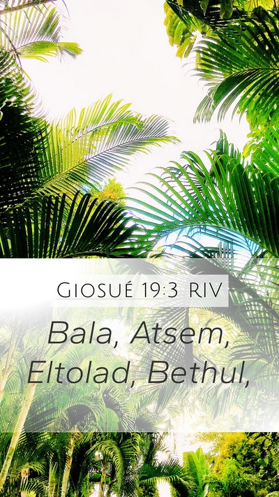 Giosué 19:3 RIV Mobile Phone Wallpaper - Bala, Atsem, Eltolad, - Mobile Bible Verse Wallpaper