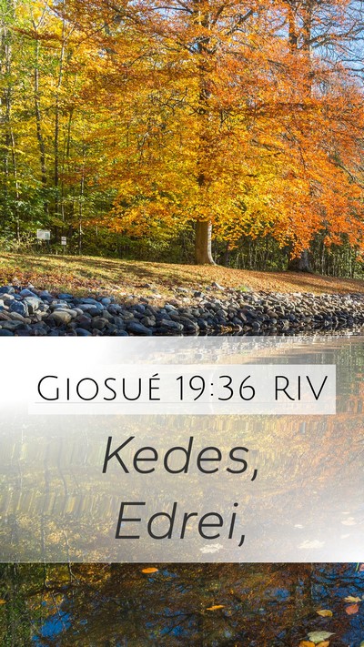 Giosué 19:36 RIV Bible Verse Image