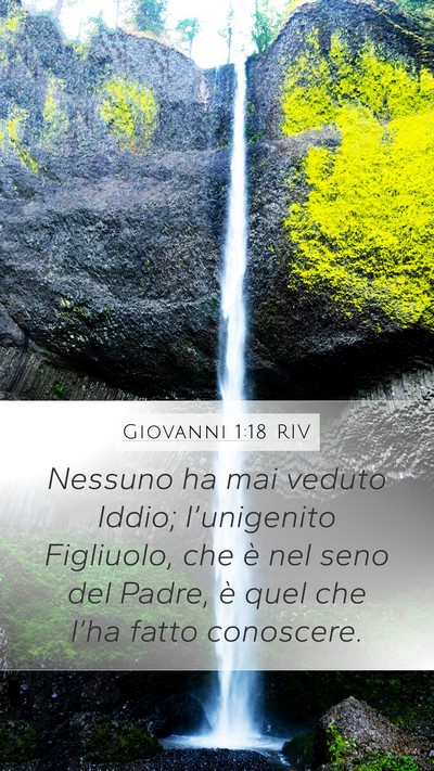 Giovanni 1:18 RIV Bible Verse Image