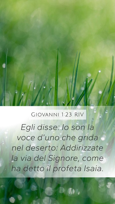Giovanni 1:23 RIV Bible Verse Image