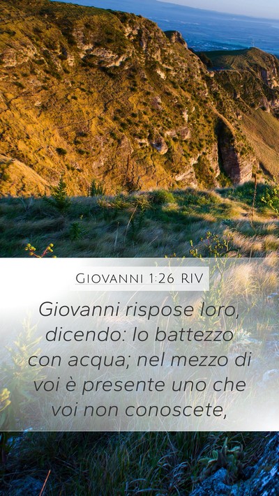 Giovanni 1:26 RIV Bible Verse Image
