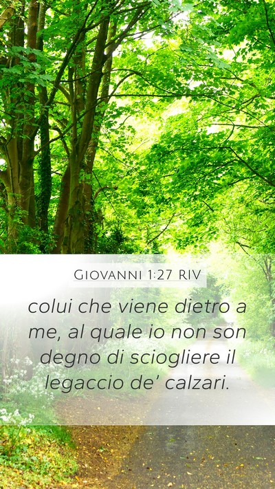 Giovanni 1:27 RIV Bible Verse Image