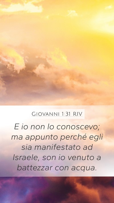 Giovanni 1:31 RIV Bible Verse Image