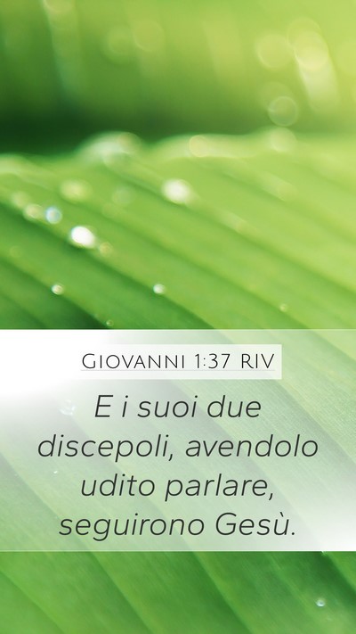 Giovanni 1:37 RIV Mobile Phone Wallpaper - E i suoi due discepoli, avendolo udito parlare, - Mobile Bible Verse Wallpaper