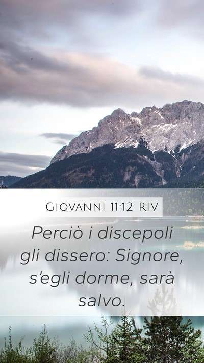 Giovanni 11:12 RIV Mobile Phone Wallpaper - Perciò i discepoli gli dissero: Signore, - Mobile Bible Verse Wallpaper