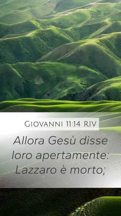 Giovanni 11:14 RIV Mobile Phone Wallpaper - Allora Gesù disse loro apertamente: Lazzaro è - Mobile Bible Verse Wallpaper