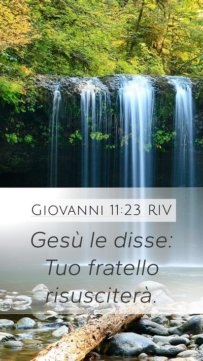 Giovanni 11:23 RIV Bible Verse Image