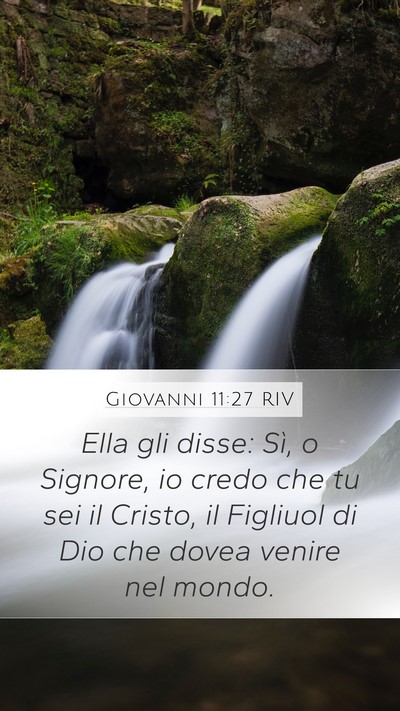 Giovanni 11:27 RIV Bible Verse Image