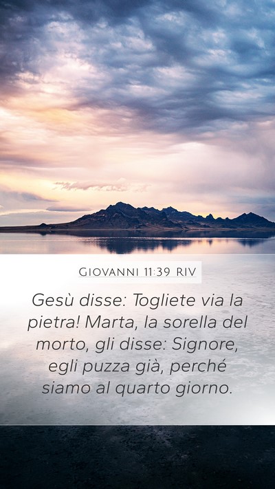 Giovanni 11:39 RIV Bible Verse Image