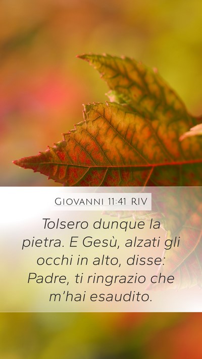 Giovanni 11:41 RIV Bible Verse Image