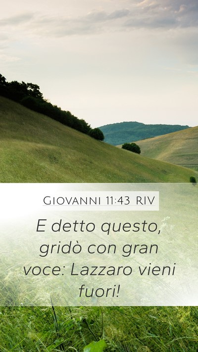 Giovanni 11:43 RIV Bible Verse Image