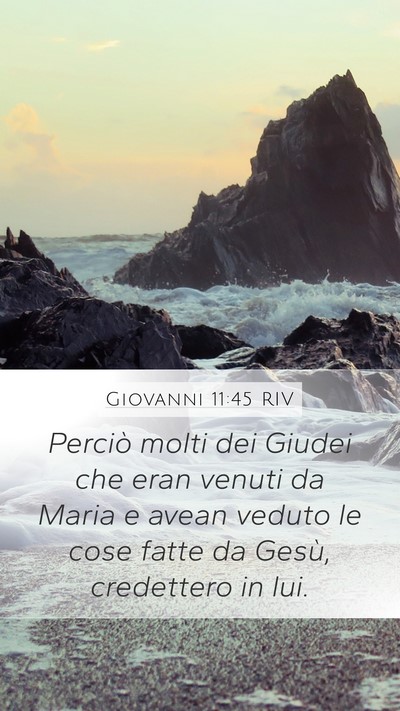 Giovanni 11:45 RIV Bible Verse Image