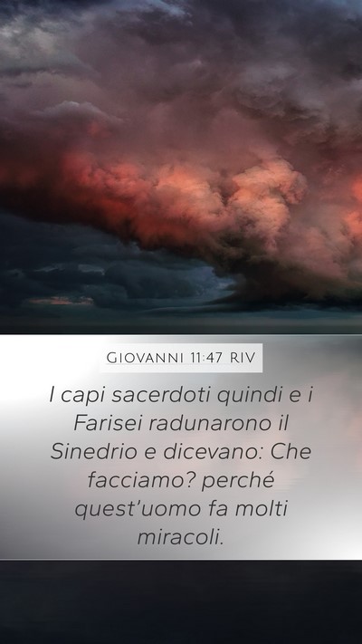 Giovanni 11:47 RIV Bible Verse Image