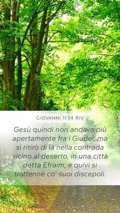 Giovanni 11:54 RIV Bible Verse Image