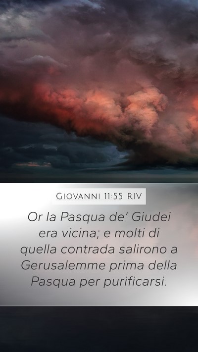 Giovanni 11:55 RIV Bible Verse Image
